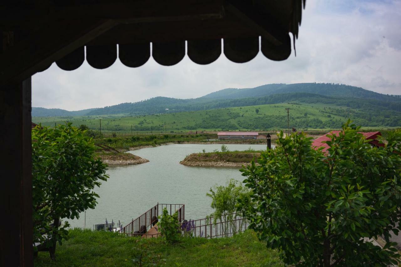Pastravaria Ursu Vînători-Neamţ Exterior foto
